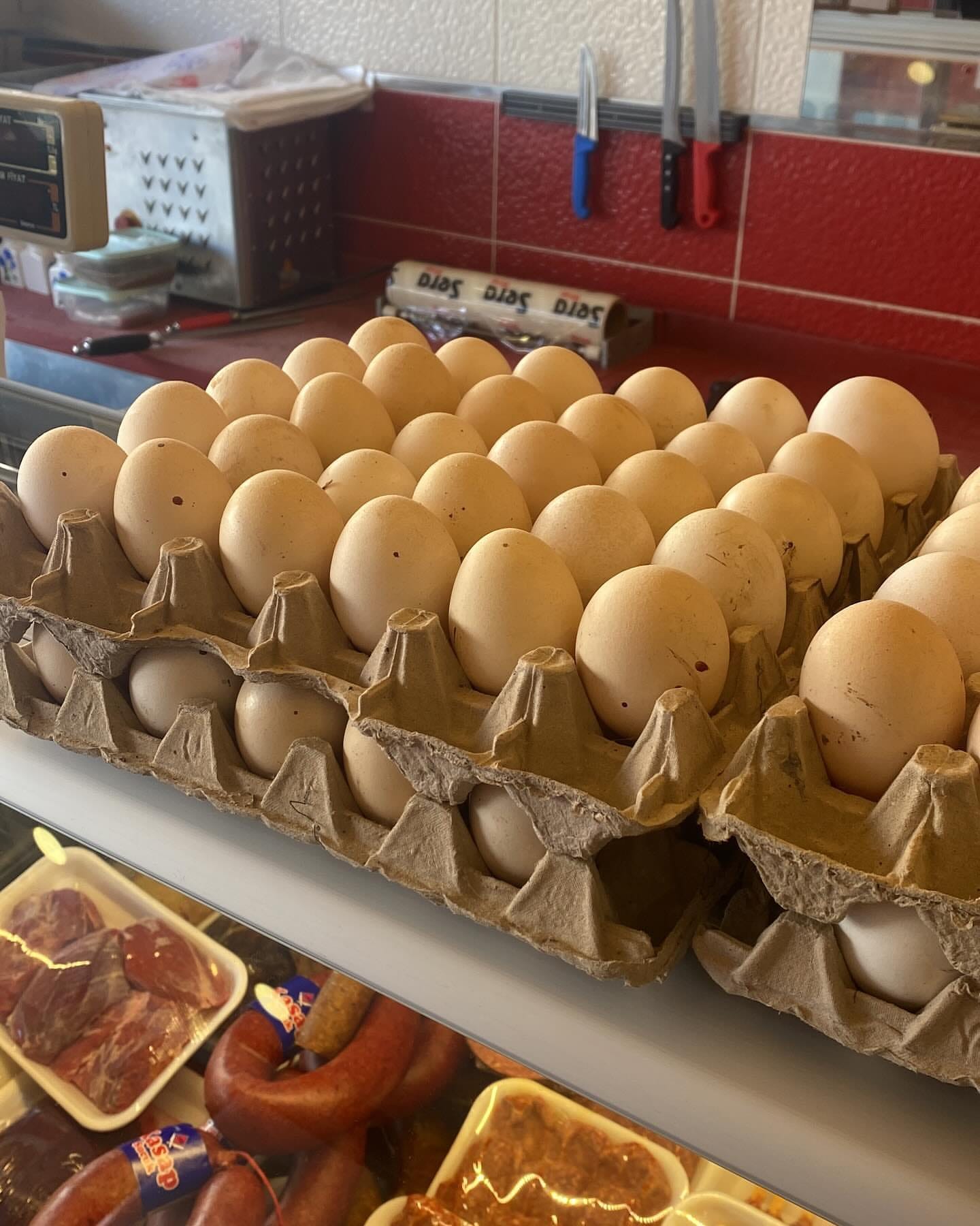 Çamlık Efe Kasabı